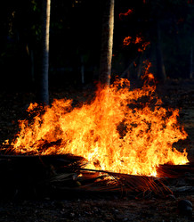 Similar image 12988392