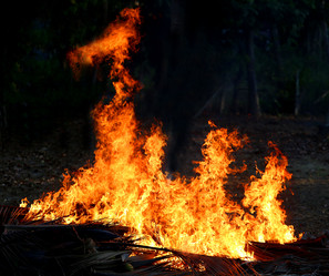 Similar image 12988393