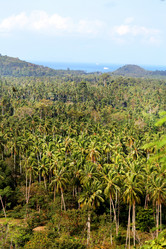 Similar image 12988335