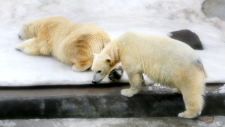 Similar image 12988338