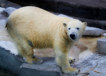 Similar image 12988339