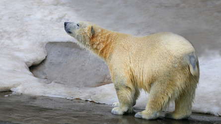 Similar image 12988341