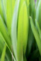 Similar image 12988344