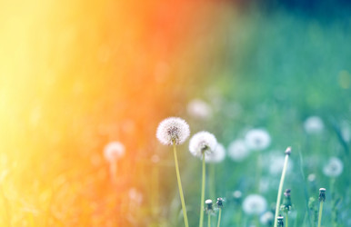 Similar image 12988287