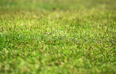 Similar image 12988289