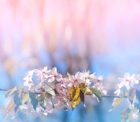 Similar image 12988294