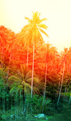 Similar image 12996348