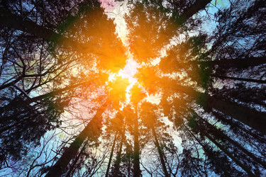 Similar image 12996370