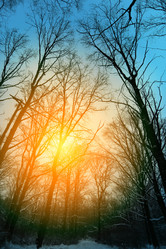 Similar image 12996372