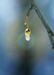 Similar image 12996376