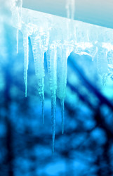 Similar image 12996379