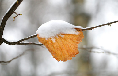 Similar image 12996381