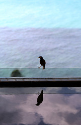 Similar image 12996392