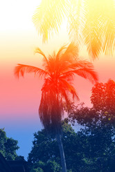 Similar image 12996359