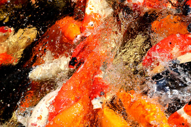 Similar image 12996383