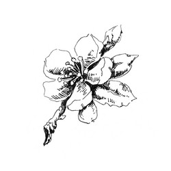 Similar image 12987904