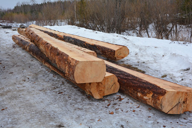 Similar image 12993129