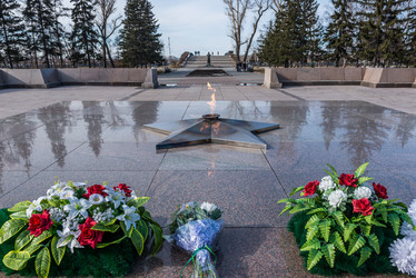 Similar image 12994508