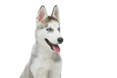 Similar image 13000369