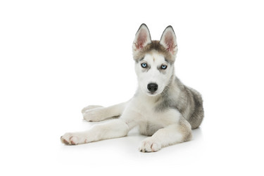 Similar image 13000371