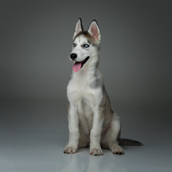 Similar image 13000385