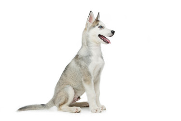 Similar image 13000389