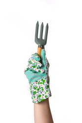 Similar image 12987927