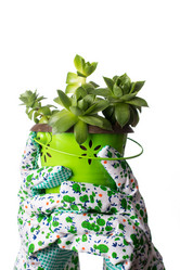 Similar image 12987928