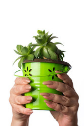 Similar image 12987929