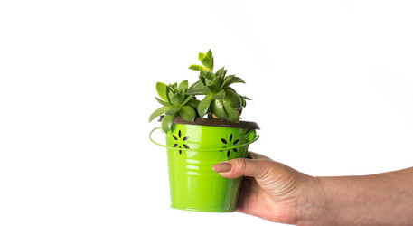 Similar image 12987930