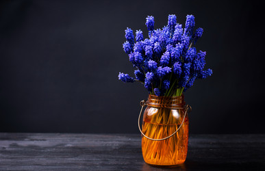 Similar image 12987931