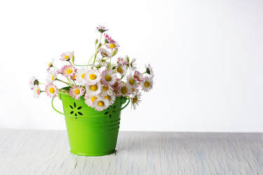 Similar image 12987935