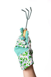 Similar image 12987938