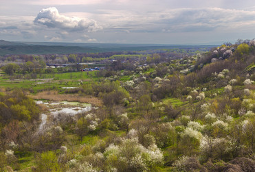 Similar image 12997118