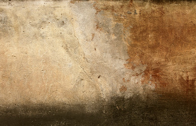 Similar image 12993135