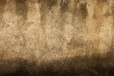 Similar image 12993137