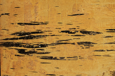 Similar image 12992596