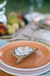 Similar image 12992652