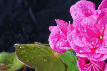 Similar image 12995297