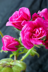 Similar image 12995298