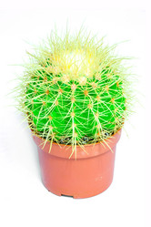 Similar image 12994579