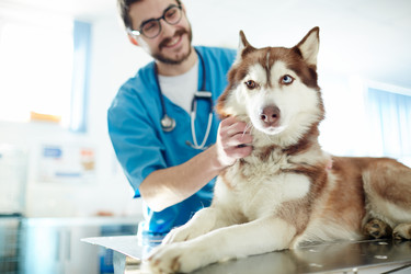 Similar image 12992485