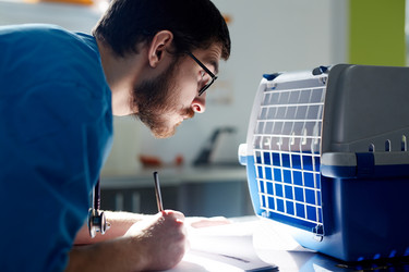 Similar image 12992523