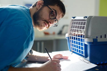 Similar image 12992524