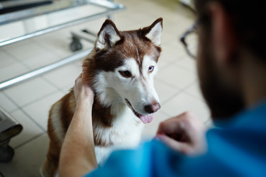 Similar image 12992556