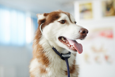 Similar image 12992578