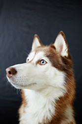 Similar image 12992579