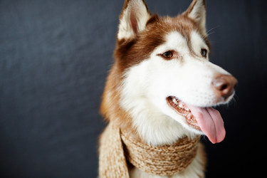 Similar image 12992581