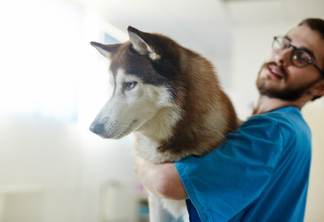 Similar image 12992239