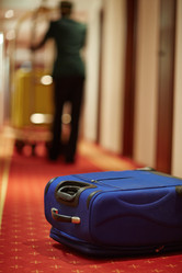 Similar image 12992246